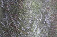 Norbury Common fibreglass roof work